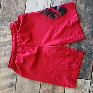 Nike SB skateboard Shorts